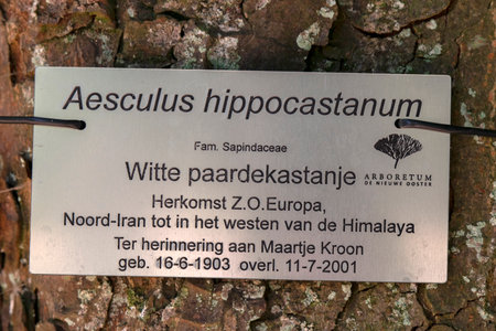 Close Up Of A Puli Dot At Amsterdam The Netherlands 19-6-2020のeditorial素材