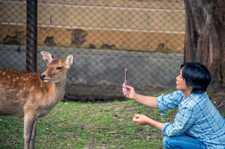 Making A Photo With A Telephone Of A Deer At Nara Japan 2015のeditorial素材