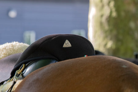Police Hat On A Horse At Amsterdam The Netherlands 21-9-2020のeditorial素材