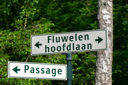 Direction Sign At The Cemetery Zorgvlied At Amsterdam The Netherlands 12-6-2020のeditorial素材