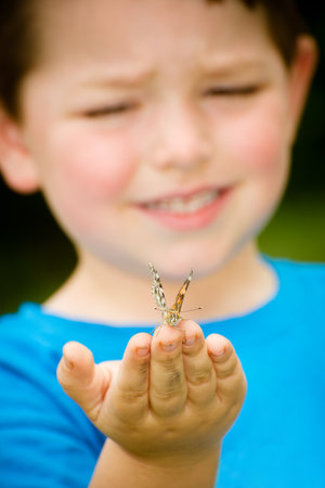 Spring concept with close up of a painted lady butterfly, Vanessa cardui, being held by child playing outdoors in natureの写真素材