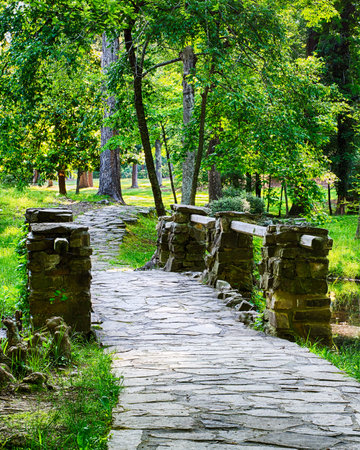 Forest path over bridge during bright spring dayの写真素材