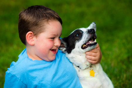 Child lovingly embraces his pet dogの写真素材