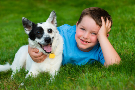 Child lovingly embraces his pet dogの写真素材