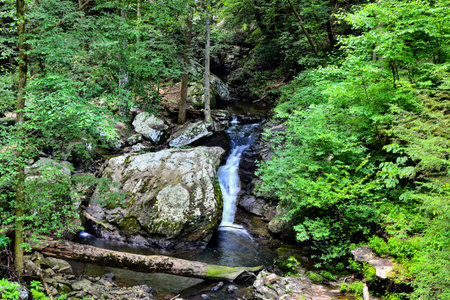Waterfall at Cloudland Canyon State Park in north Georgiaの写真素材