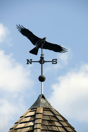 Detail of eagle weathervane on a rooftopの写真素材