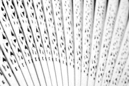 B&W chinese fan with shallow DOFの写真素材