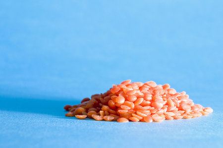 Orange Lentils (Lens culinaris) on blue backgroundの写真素材