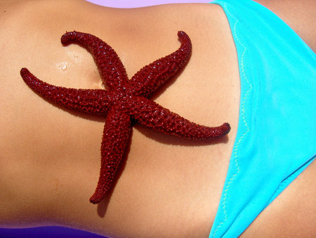 Close up of alive,red sea star on little girl's stomach.