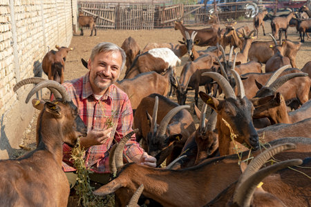 Happy Farmer With Goats - Goat Whispererの写真素材