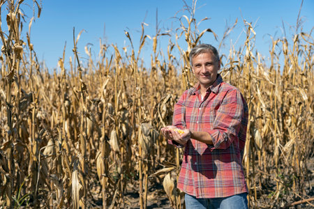 Smiling Farmer in Cornfield Showing Freshly Harvested Corn Maize Grains