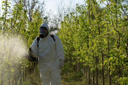 Farmer in Personal Protective Clothing Spraying Orchard in Springtime. Farmer Sprays Trees With Toxic Pesticides or Insecticide.の写真素材