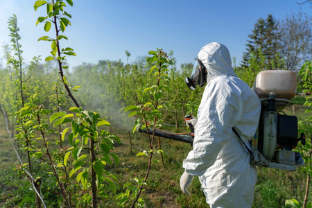 Farmer in Coveralls With Gas Mask Spraying Orchard With Backpack Atomizer Sprayerの写真素材