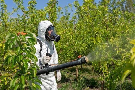 Farmer in Coveralls With Gas Mask Spraying Orchardの写真素材