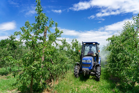 Farmer Driving Tractor Through Apple Orchard. Blue Sky with With Clouds Above Tractor in Fruit Orchard.の写真素材