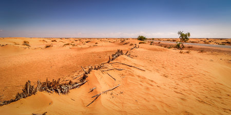 The street in the heart of Sahara desert,Tunisia の写真素材