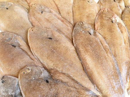Sogliola fish on ice for sale, Fish local market stall with fresh seafood,view from top.の写真素材
