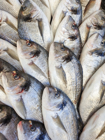 Many bream fish on ice for sale, Fish local market stall with fresh seafood,view from top.の写真素材