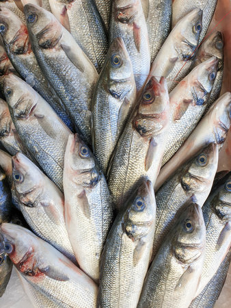Many sea bass fish on ice for sale, Fish local market stall with fresh seafood,view from top.の写真素材