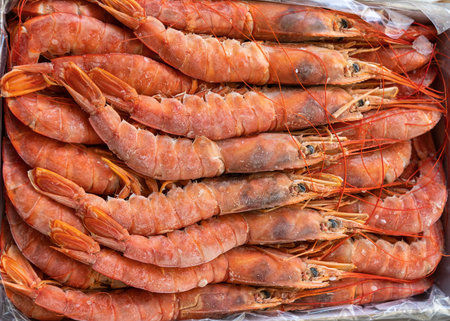 Frozen argentine red shrimp on head at the seafood marketの写真素材