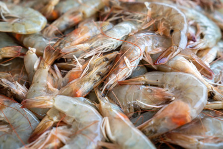 frozen tropical shrimp on head at the seafood marketの写真素材