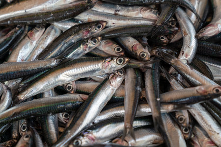 Fresh anchovies fish on ice at the seafood market, healthy life concept, diet.の写真素材