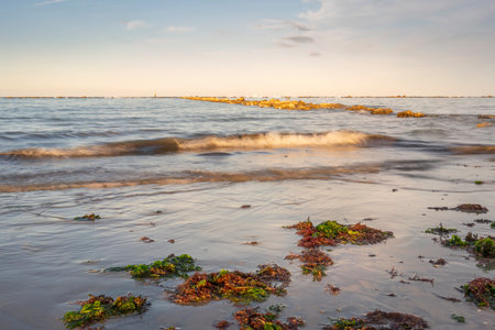 Aerial shot of sandy beach with umbrellas, typical adriatic shore.Summer vacation concept.Lido Adriano town, Adriatic coast, Emilia Romagna, Italy.の写真素材