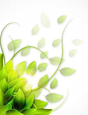 Green leaf backgroundのイラスト素材