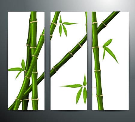 Banners with bambooのイラスト素材