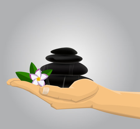 Hand holding Spa stones andflowerのイラスト素材