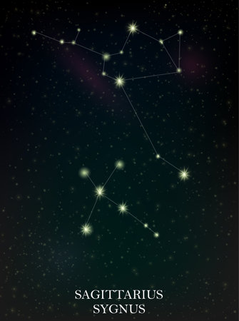 Sagittarius and Sygnus constellationのイラスト素材