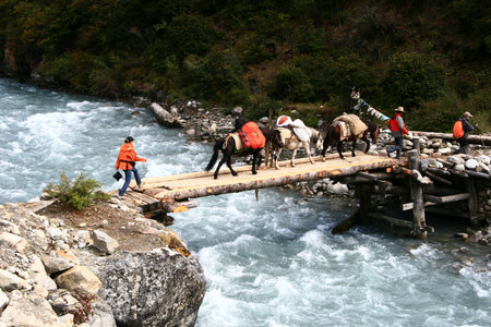 cross the river during trecking の写真素材