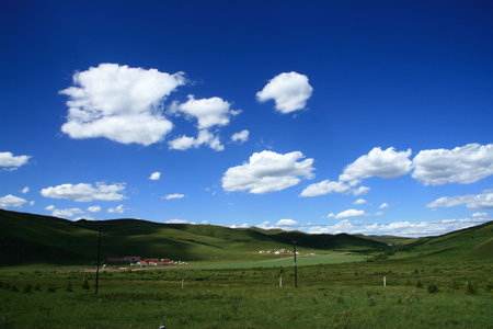grassland in north Chinaの写真素材