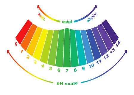 PH value scales, vector isolatedのイラスト素材