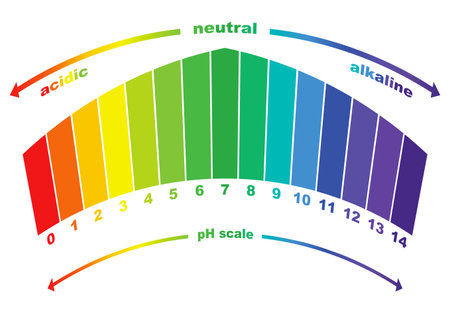 PH scale value, vector isolatedのイラスト素材