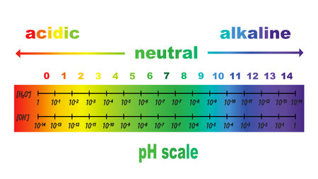 scale of ph value for acid and alkaline solutions, vector isolatedのイラスト素材
