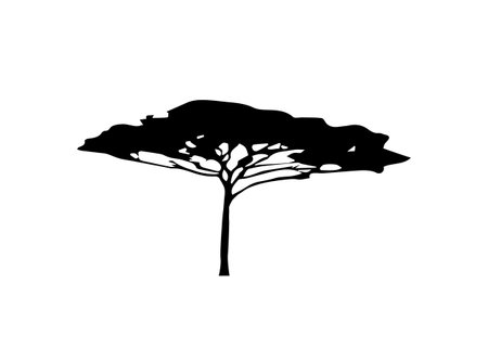 African tropical tree icon, acacia tree Savannah silhouette, green nature safari ecology concept, biological concept nature preservation trust, vector isolated on white backgroundのイラスト素材