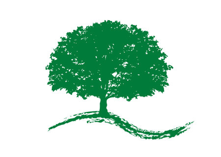 Oak tree vector, green ecology biological illustration. Vector silhouette of a tree isolated or white background, biodynamic agriculture conceptのイラスト素材