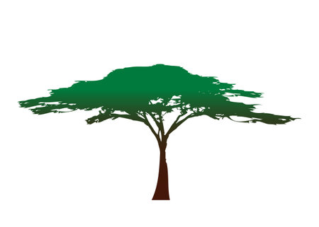 African tree icon, acacia tree silhouette, colorful vector isolatedのイラスト素材