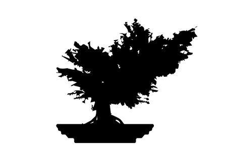 Japanese bonsai tree, plant silhouette icons on white background, Black silhouette of bonsai in the pot. Detailed image. Vector isolatedのイラスト素材