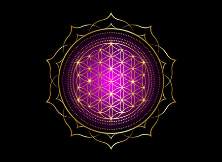 Flower of Life, Yantra Mandala in the lotus flower, Sacred Geometry. Bright golden symbol of harmony and balance. Mystical gold shiny talisman in purple color, vector isolated on black backgroundのイラスト素材