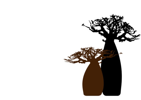 Boab or Baobab Tree background with copy space for your text, vector isolated, Andasonia tree silhouette icon. Baobabs silhouette concept sign in white backgroundのイラスト素材