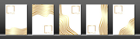 Vector cover for text. Abstract white fluid striped line background. Gold wave strips. Applicable for design cover, presentation, invitation, flyer, annual report, poster and business card, packagingのイラスト素材