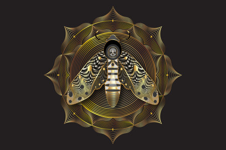 Gold lotus mandala on The death's head moth in dark gold colors. Sacred Geometry. Night mystical butterfly with a skull. Luxury vector of Acherontia winged insect isolated on black backgroundのイラスト素材