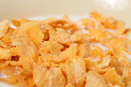 corn flakes meal healthy fresh cereal with milk