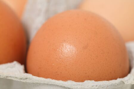 raw eggs healthy group fragile natural food