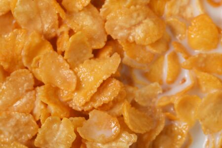 corn flakes meal healthy fresh cereal with milk