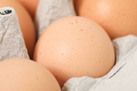 raw eggs healthy group fragile natural food