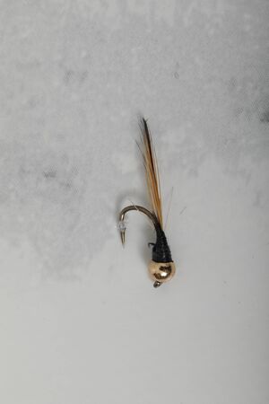 nice tea bag isolated on white background.の写真素材