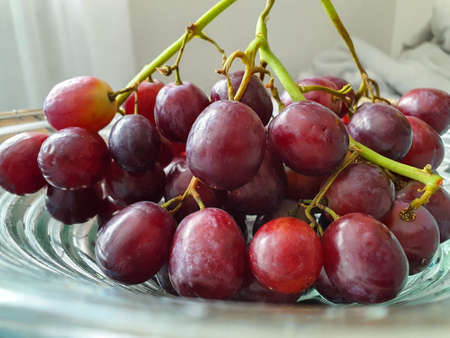 Red grapes on a glass plate in the living room. Healthy fruit, suitable for a conscious diet.の写真素材